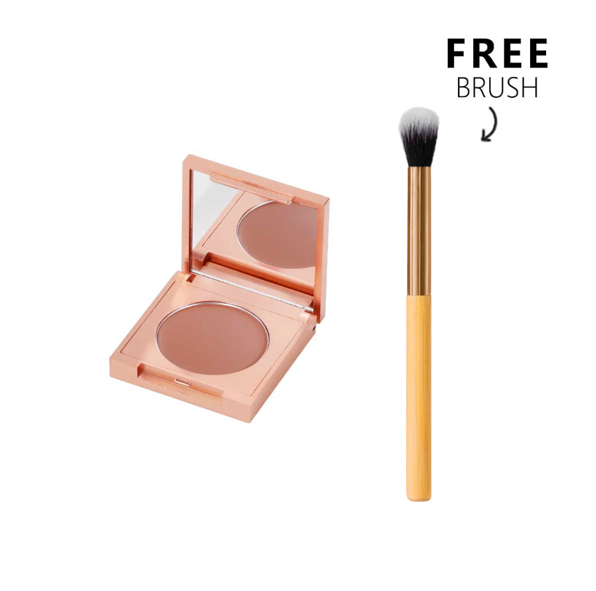 All-in-One Concealer